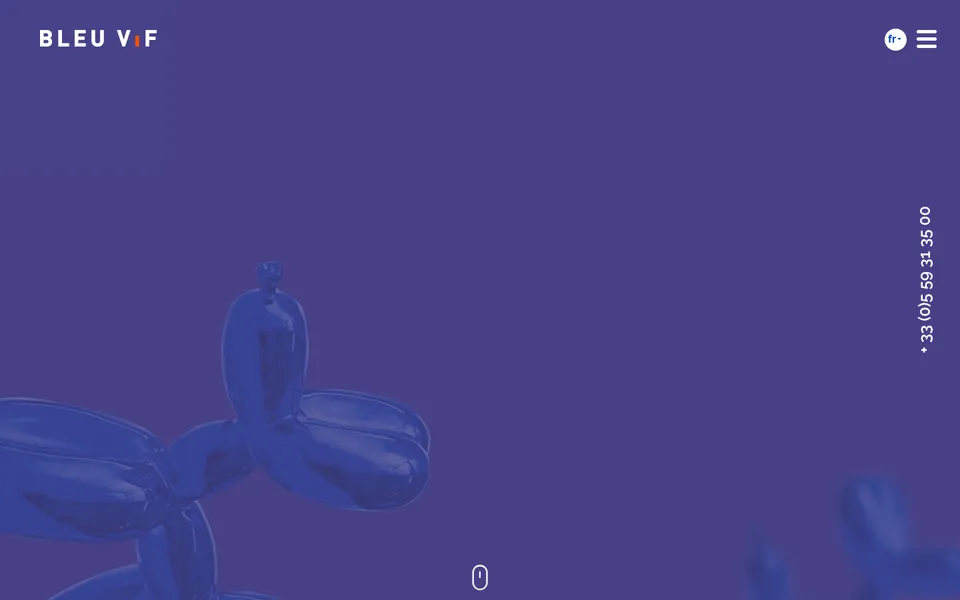 Aperçu du site Bleu Vif